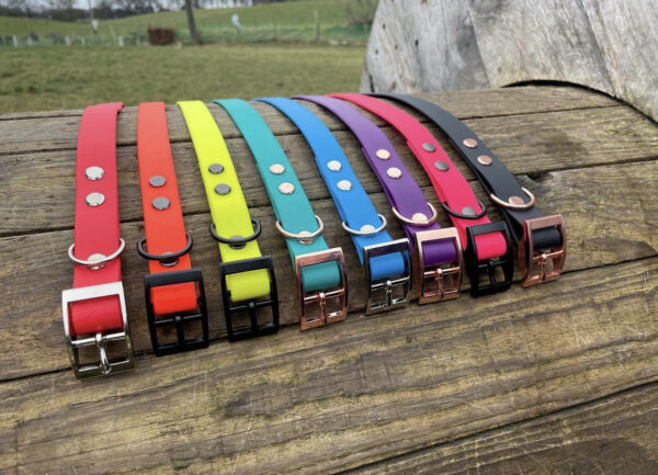 PVC Buckle Collars