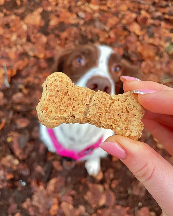 Pooch's Bone Treats