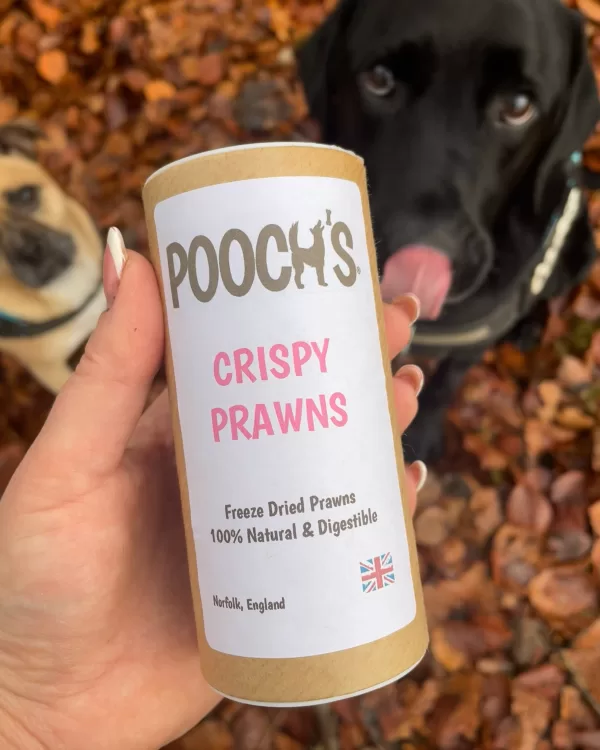 Pooch's Crispy Prawns