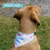 Gotcha Day Bandana - Image 2