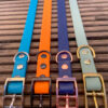 BioThane® Buckle Collars - Image 5